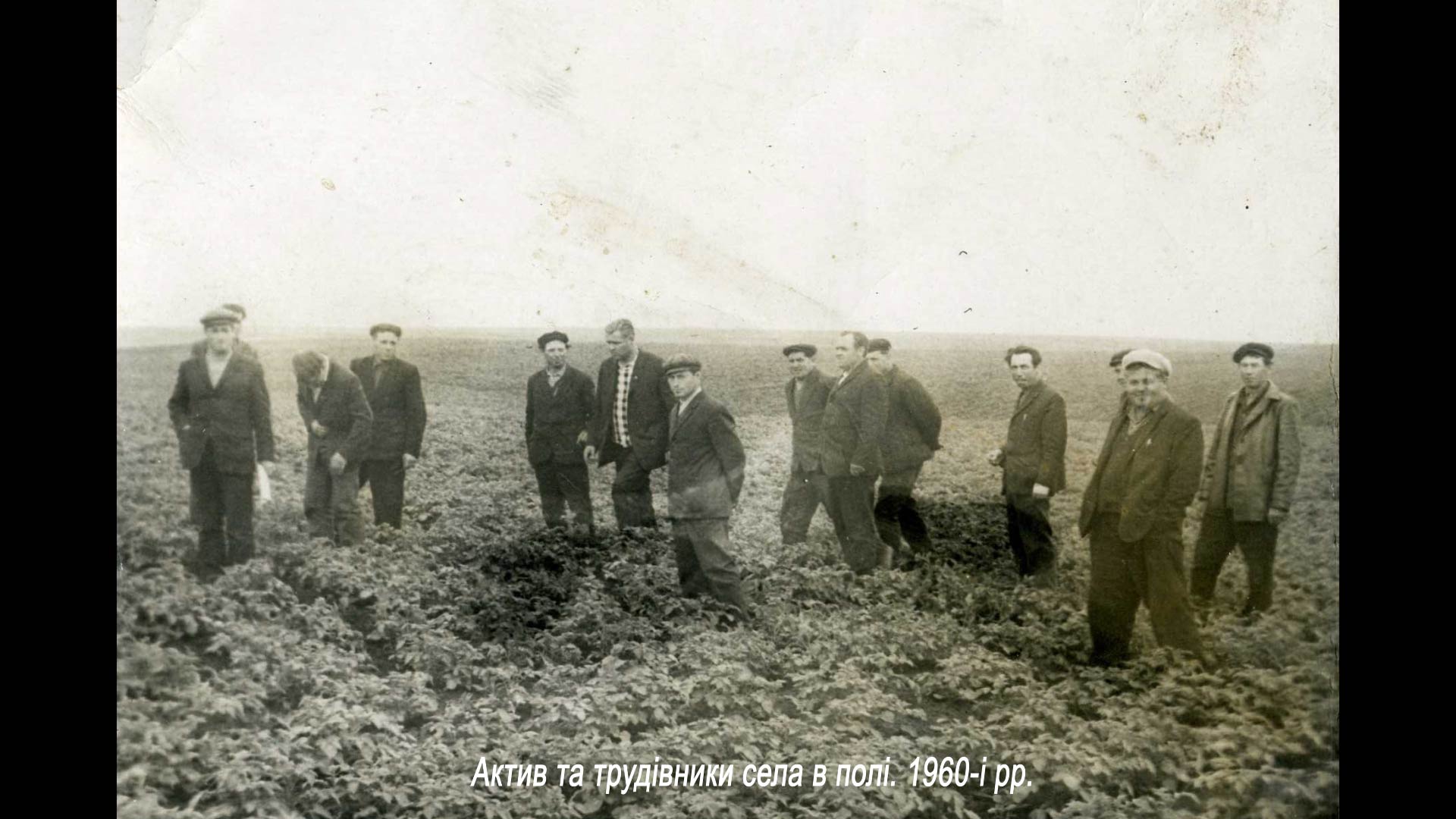 Актив та трудівники села в полі. 1960-і рр.