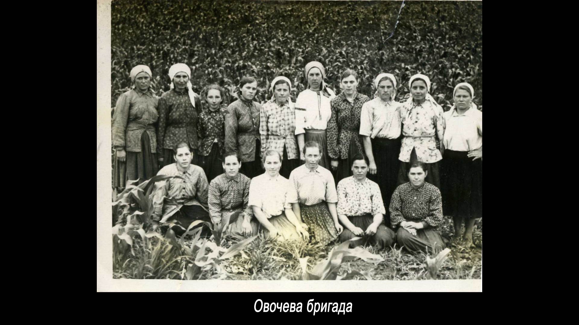 Овочева бригада