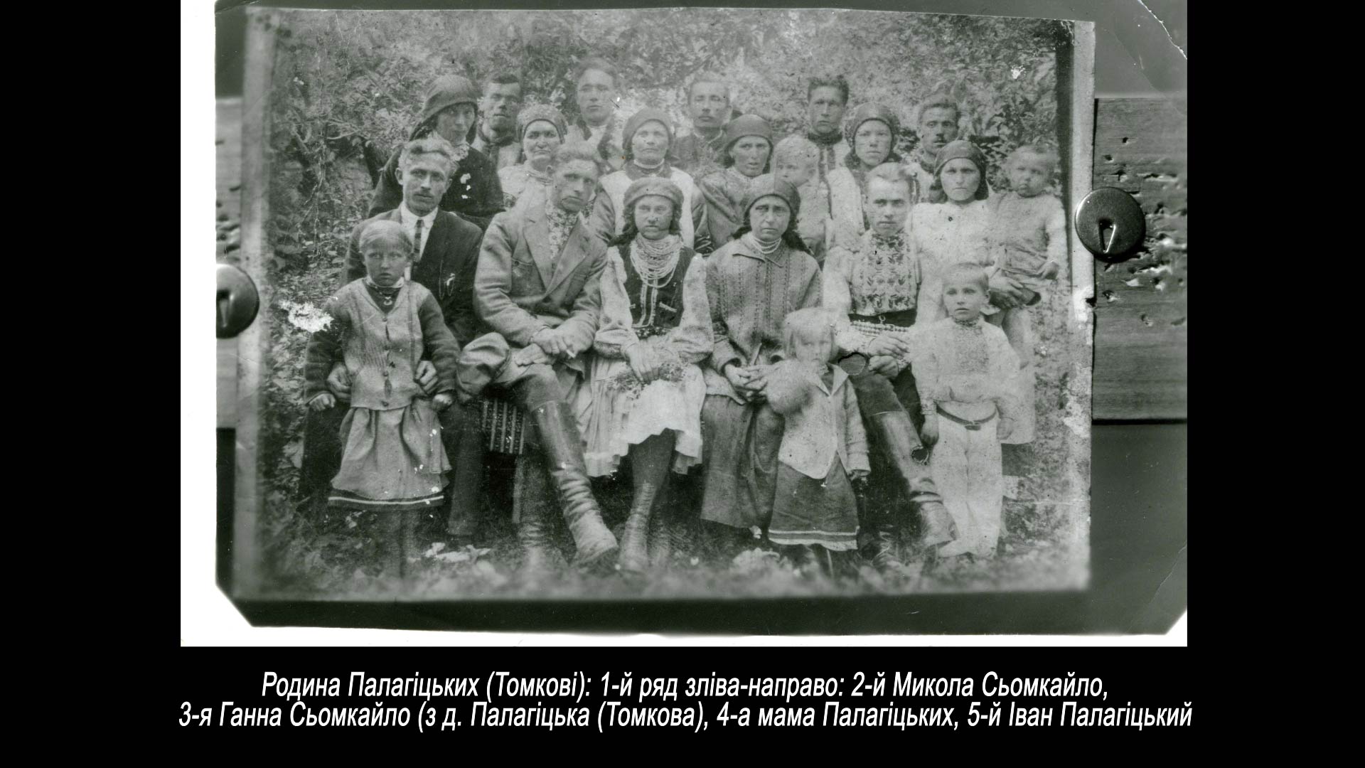Родина Палагіцьких (Томкові)