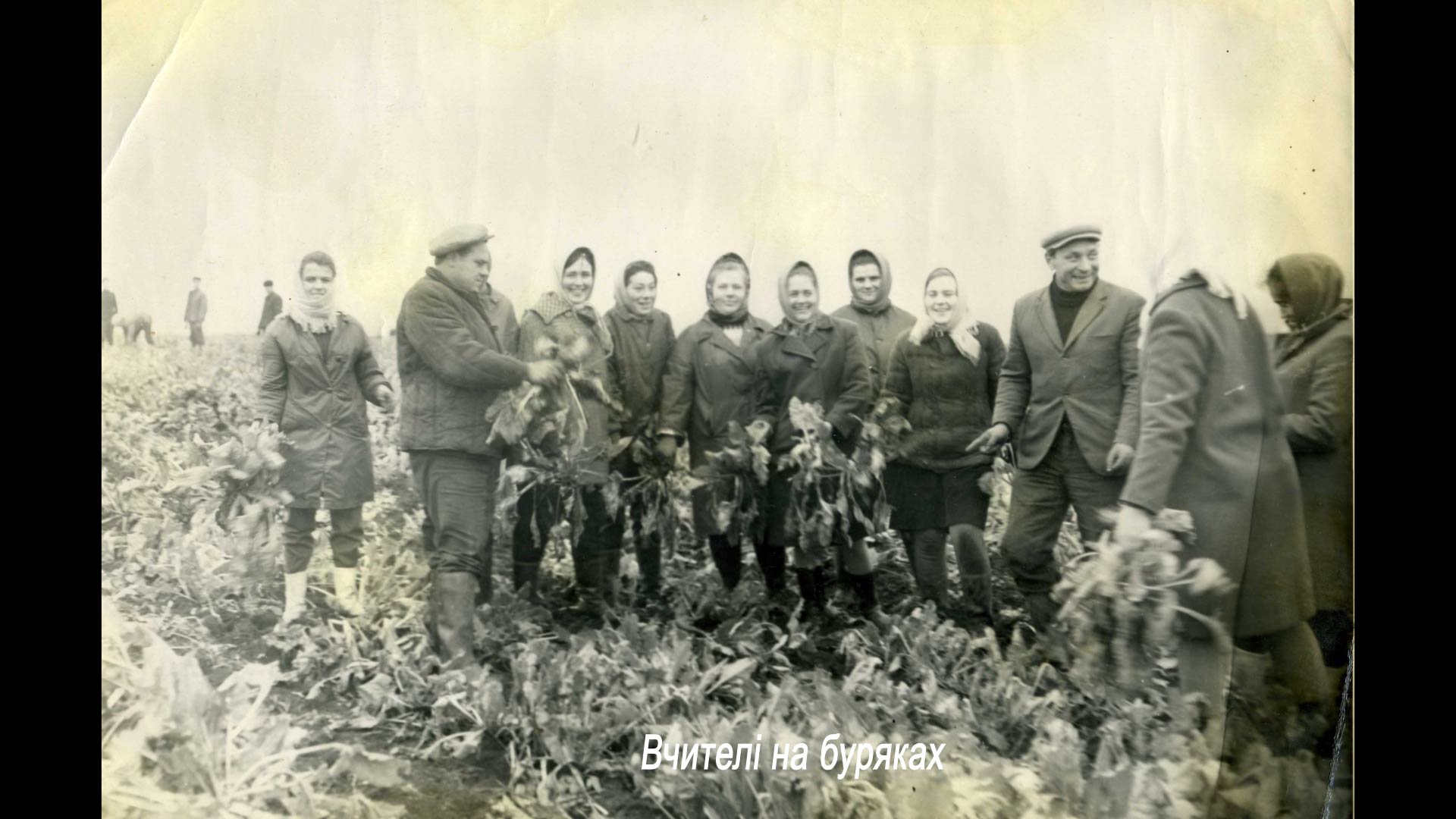 Вчителі на буряках
